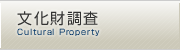 文化財調査