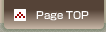 Page Top