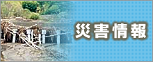 災害情報